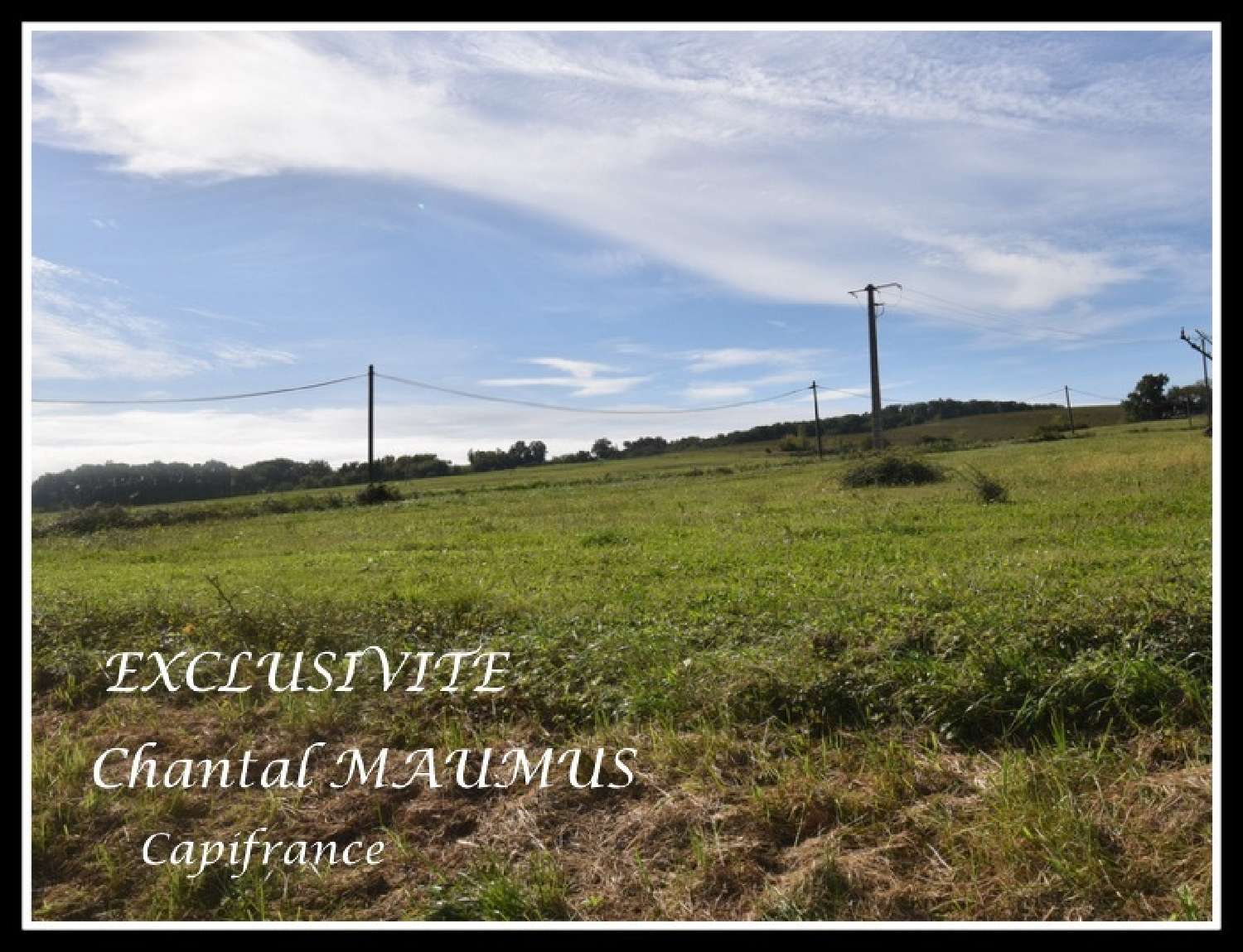  à vendre propriété Madiran Hautes-Pyrénées 8