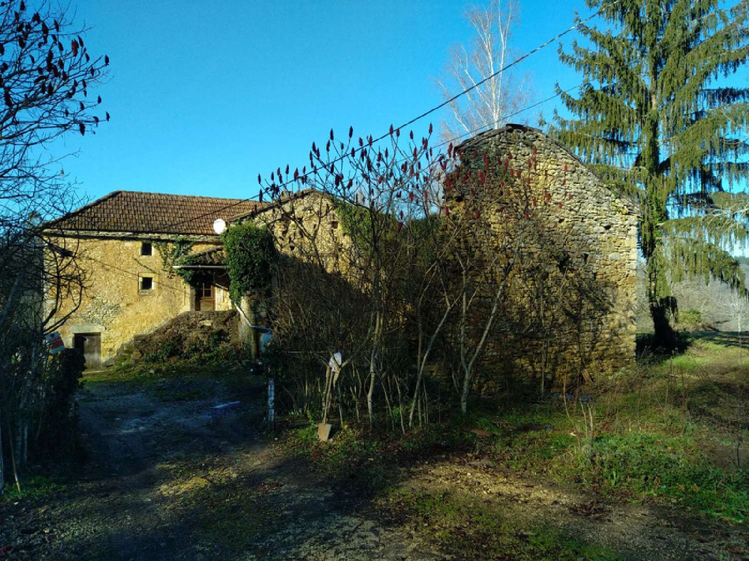  kaufen Grundstück Loubejac Dordogne 3