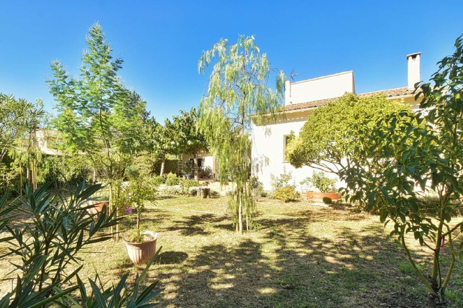 à vendre villa Clermont-l'Hérault Hérault 8