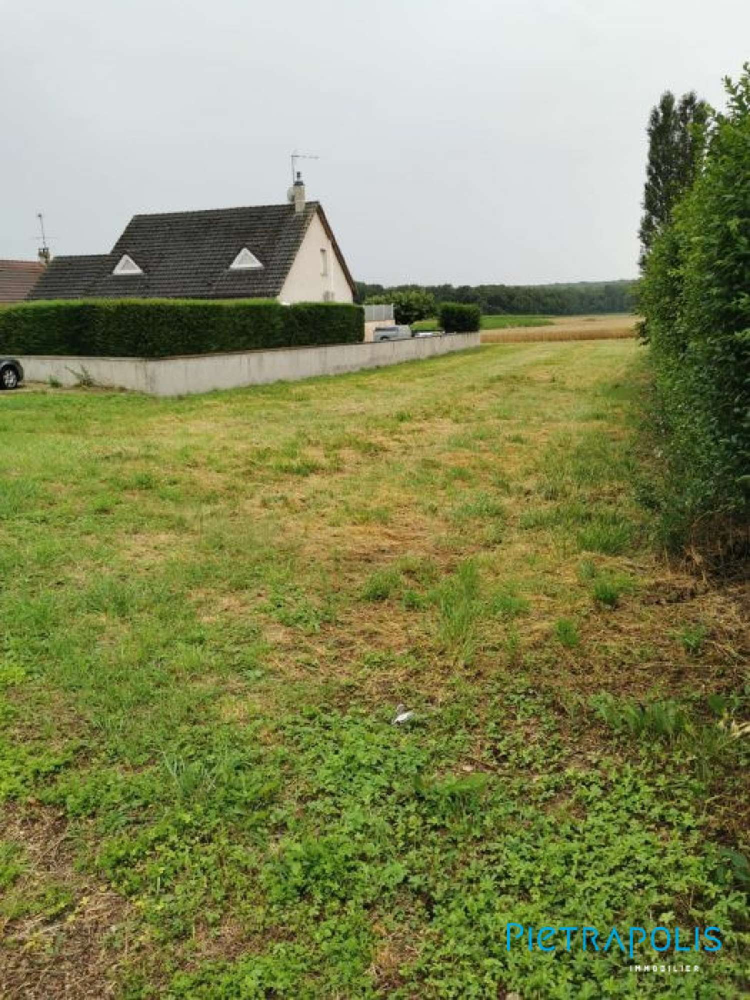  kaufen Grundstück Corcelles-lès-Cîteaux Côte-d'Or 1