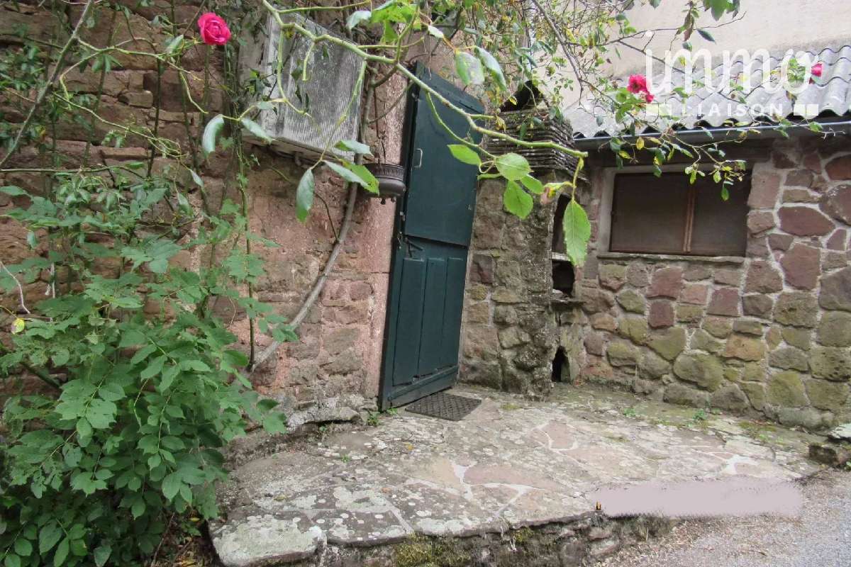 à vendre maison Mounes-Prohencoux Aveyron 1