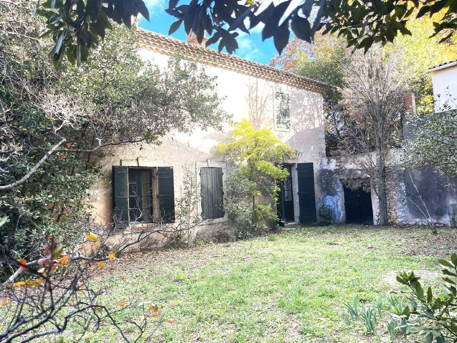  à vendre maison Pomérols Hérault 5