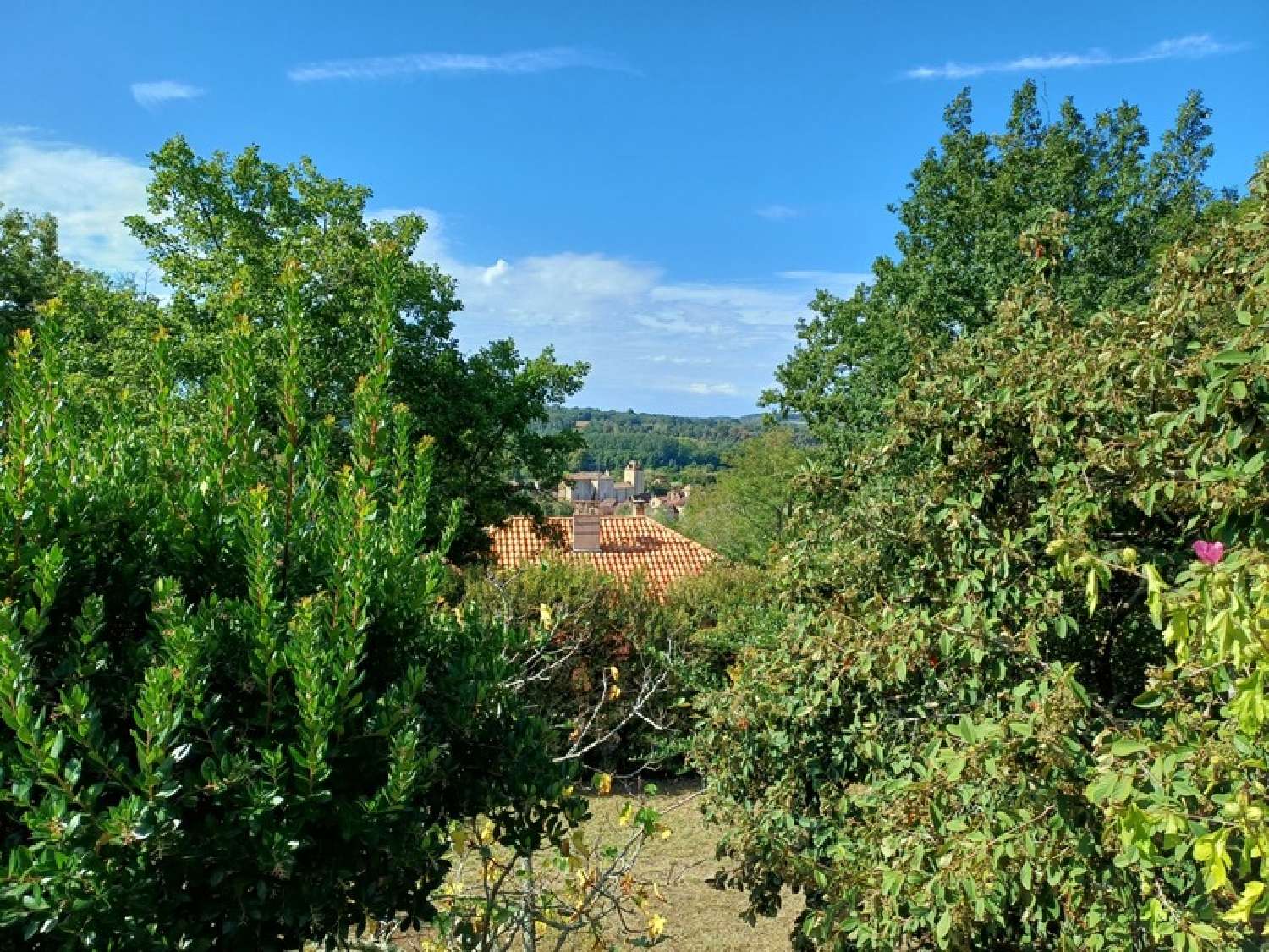  te koop huis Trémolat Dordogne 4