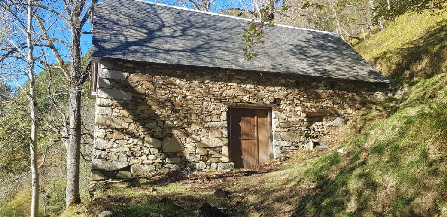  te koop huis Lannemezan Hautes-Pyrénées 5