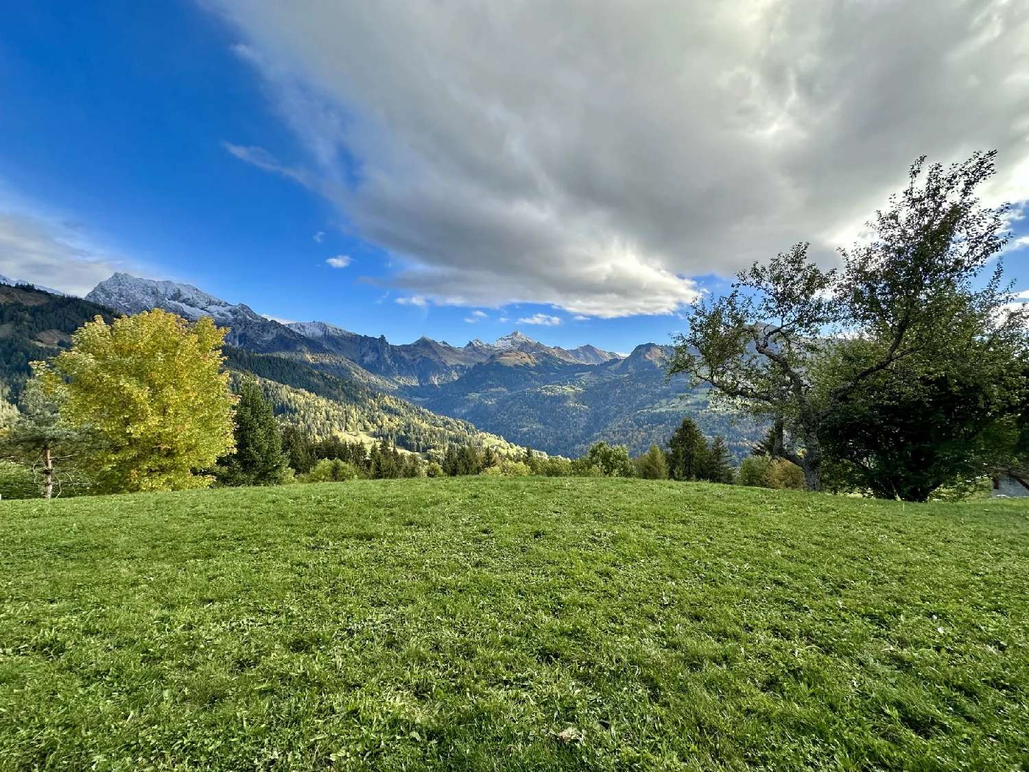  te koop huis Manigod Haute-Savoie 1