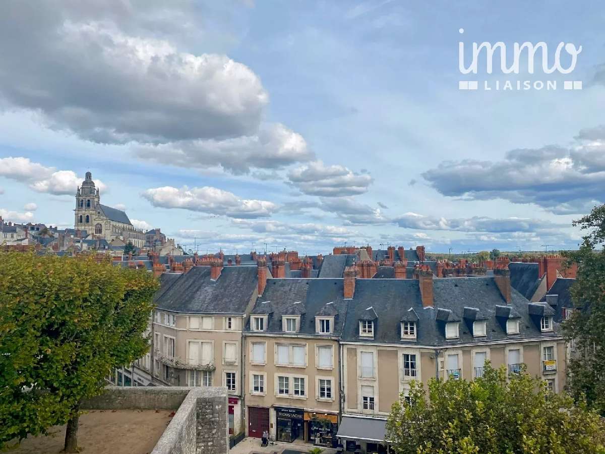 te koop huis Blois Loir-et-Cher 2
