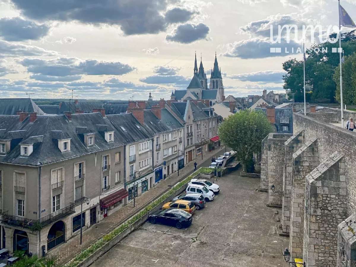  te koop huis Blois Loir-et-Cher 6