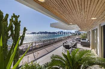 Cannes Alpes-Maritimes maison foto