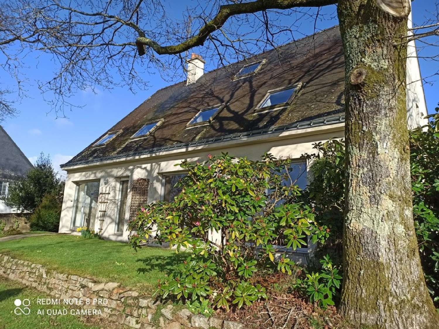  te koop huis Guéméné-sur-Scorff Morbihan 3