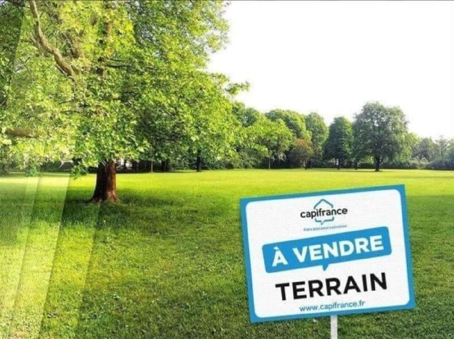  for sale terrain Lhommaizé Vienne 1