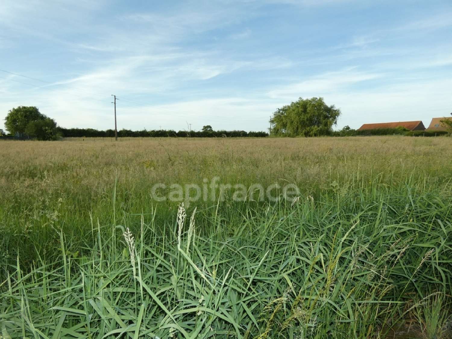 Sevrey Saône-et-Loire Grundstück Bild 6751563
