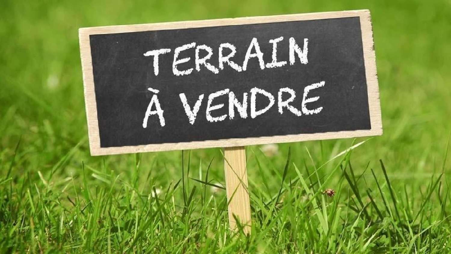  for sale terrain Montreuil-sur-Loir Maine-et-Loire 1