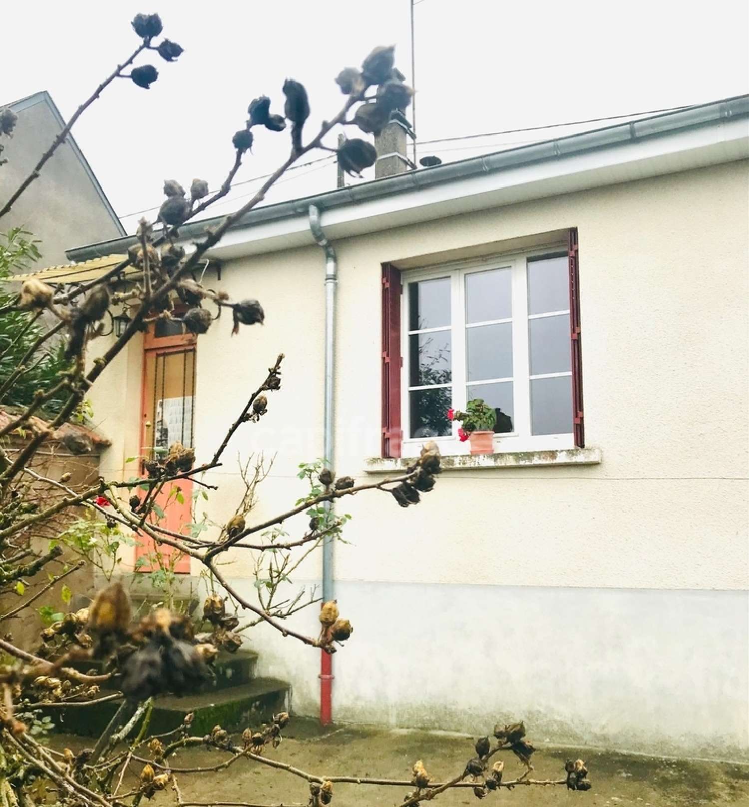  kaufen Haus La Guerche-sur-l'Aubois Cher 1
