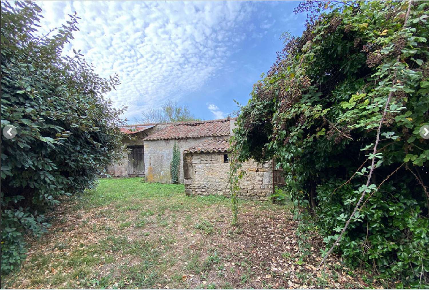  à vendre propriété Le Château-d'Oléron Charente-Maritime 2