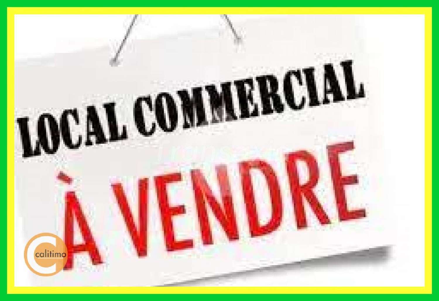 Vailly-sur-Sauldre Cher commercial foto 6376190