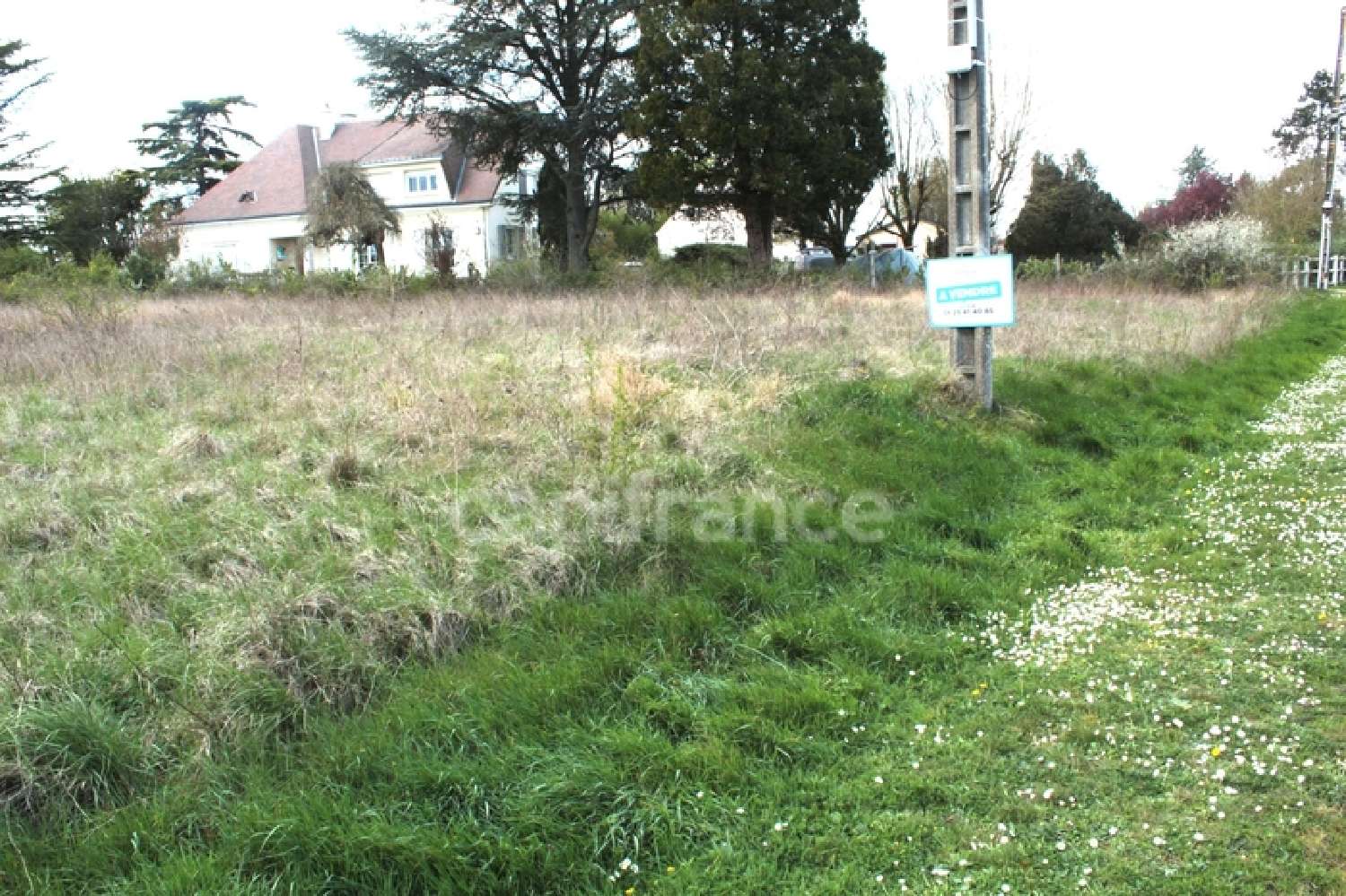  kaufen Grundstück Verdes Loir-et-Cher 2