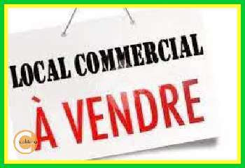 Vailly-sur-Sauldre Cher commerce foto