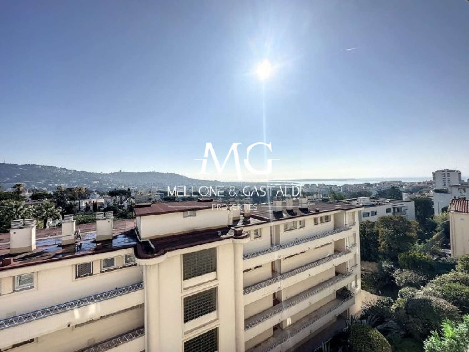 Cannes Alpes-Maritimes Wohnung/ Apartment Bild 6427114
