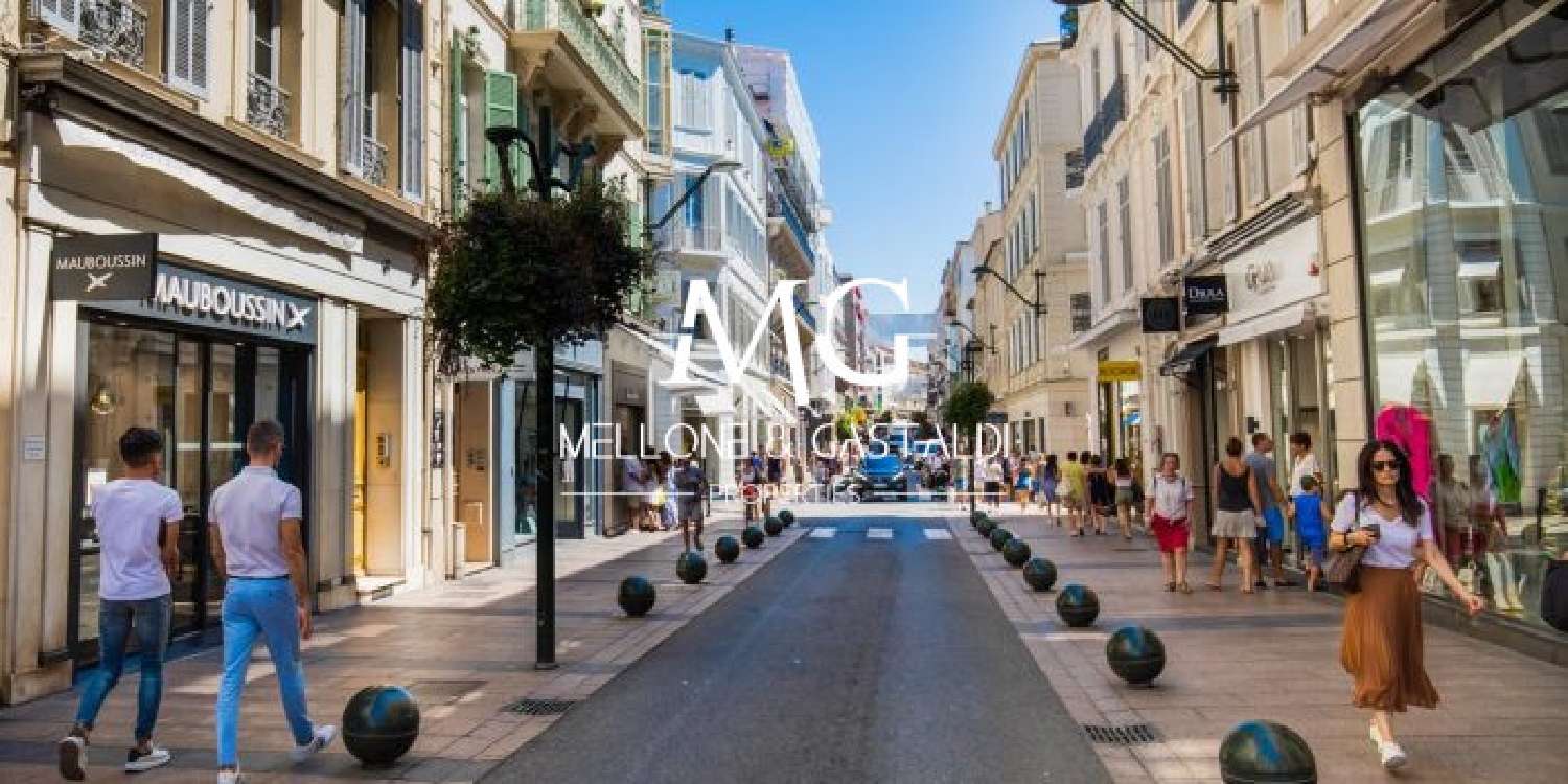 Cannes Alpes-Maritimes Wohnung/ Apartment Bild 6427112