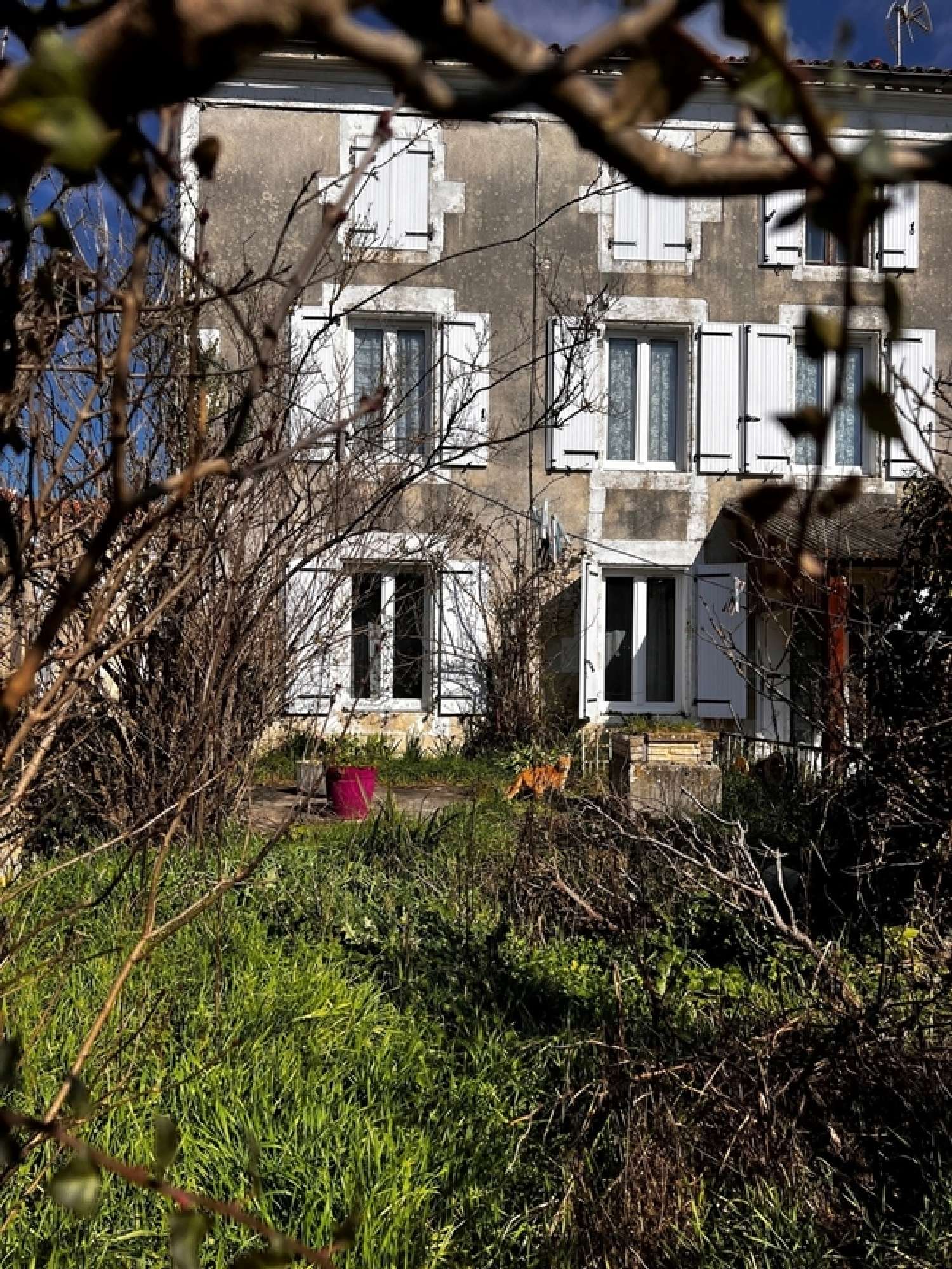  à vendre maison Saint-Georges-du-Bois Charente-Maritime 1