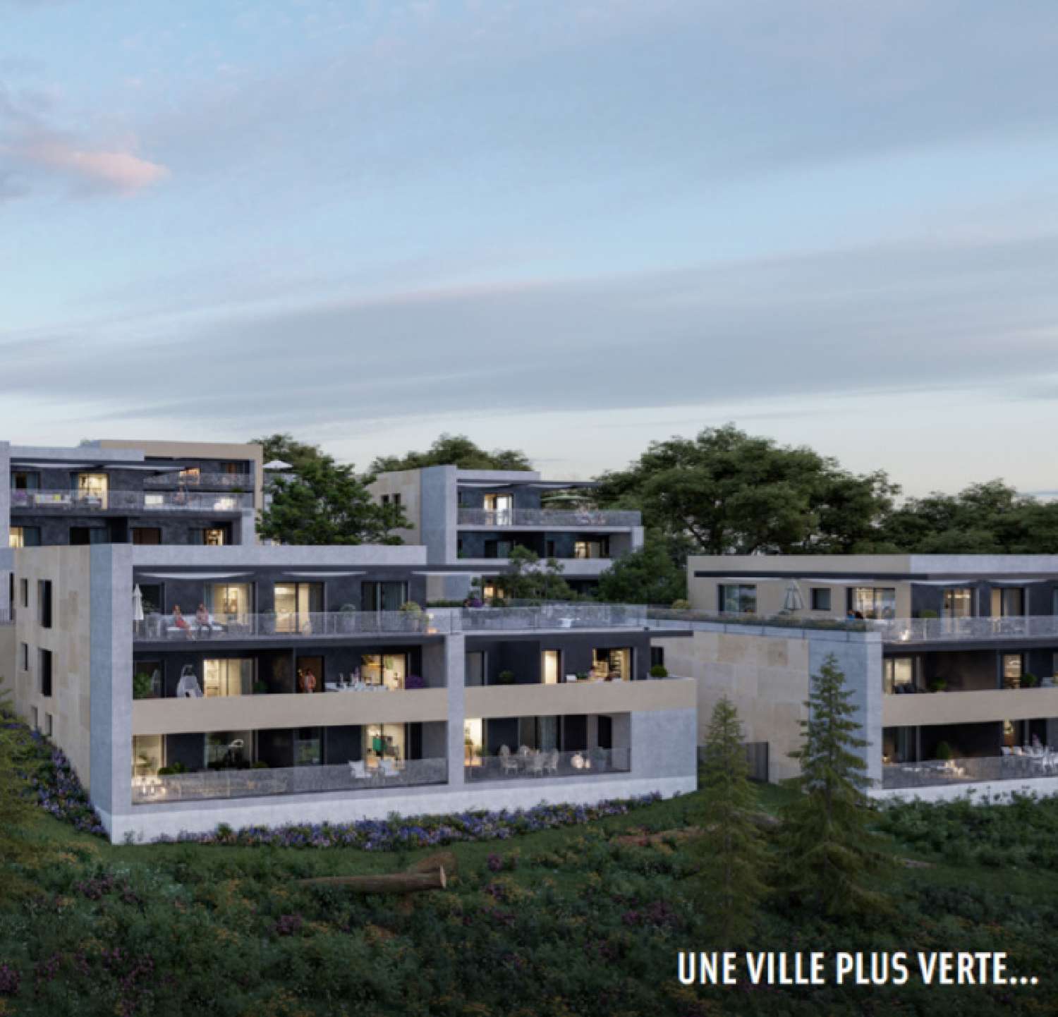  à vendre appartement Saint-Didier-au-Mont-d'Or Rhône 1