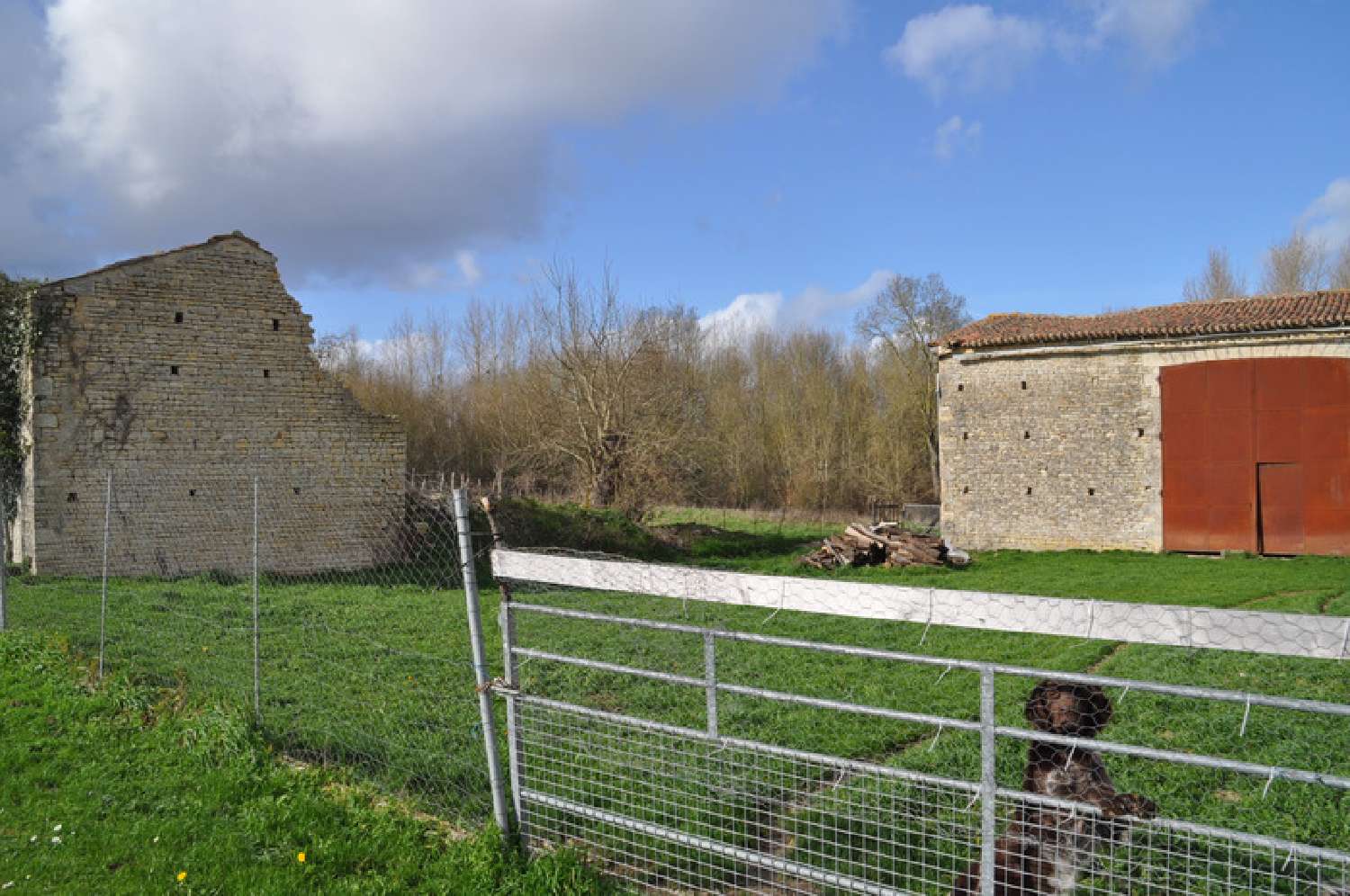  à vendre grange Dampierre-sur-Boutonne Charente-Maritime 3