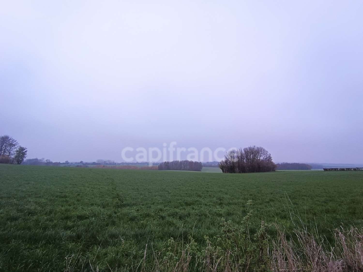 Dohem Pas-de-Calais terrain foto 6458775