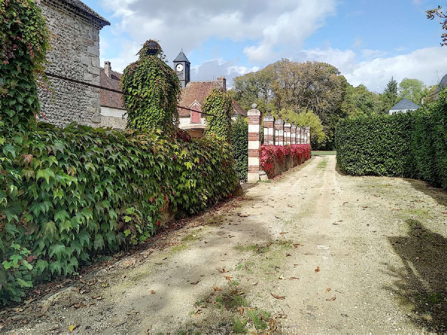  for sale castle Champlay Yonne 6
