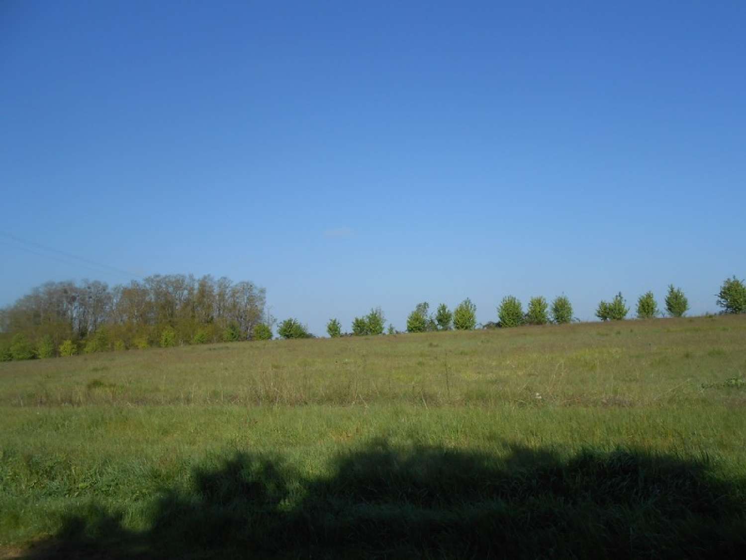  for sale terrain La Selle-sur-le-Bied Loiret 4