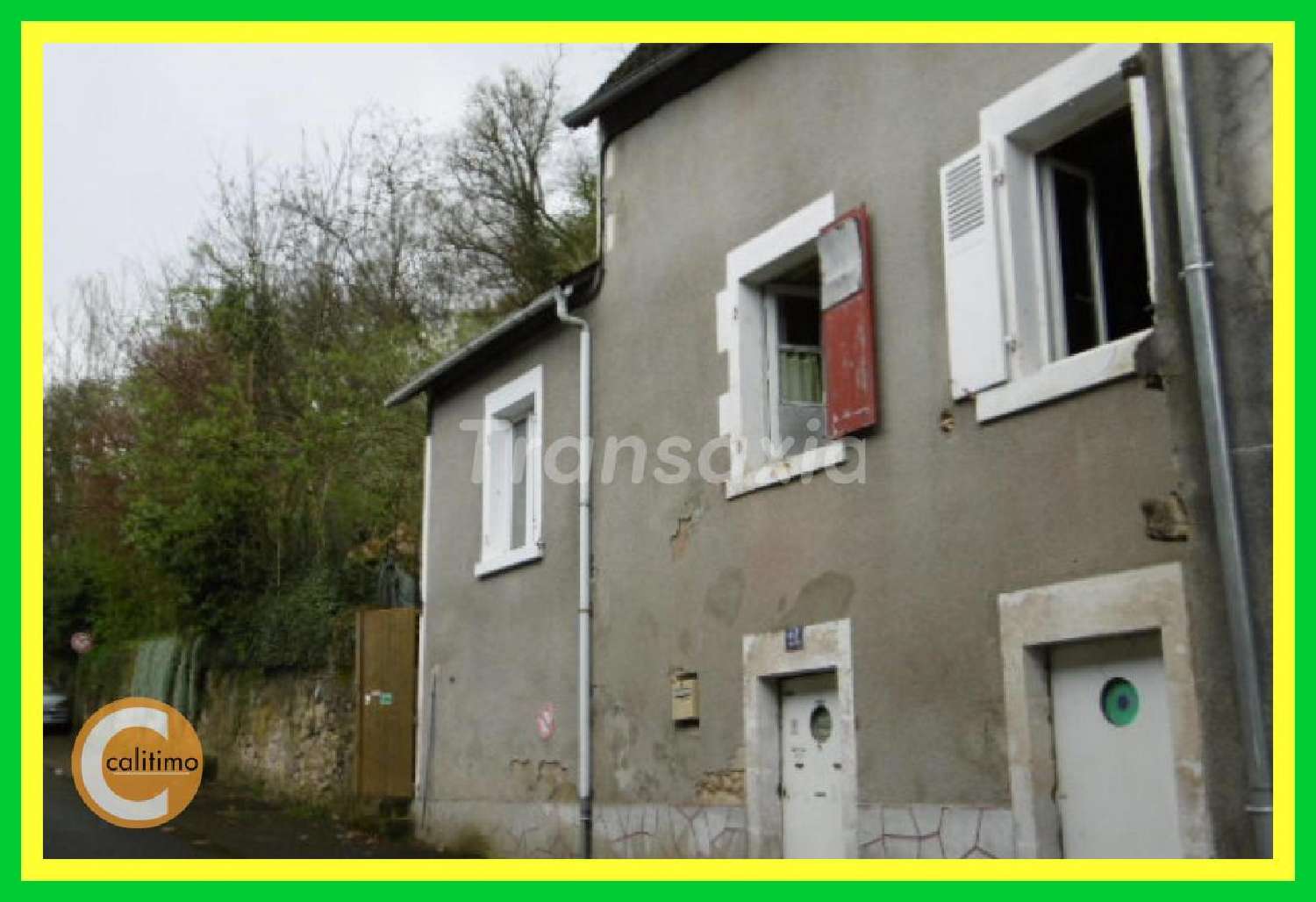  for sale city house Le Blanc Indre 1