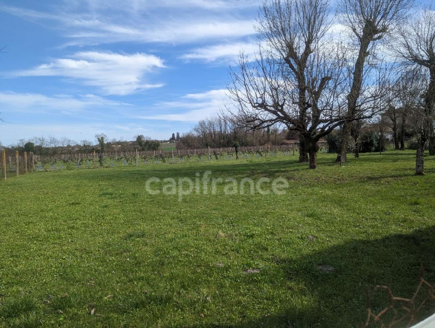  kaufen Grundstück Genté Charente 2