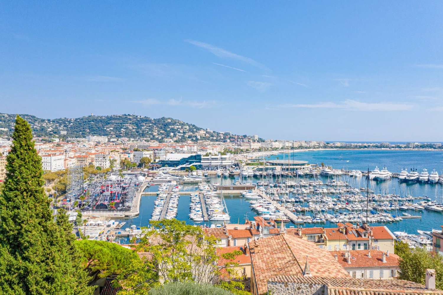  te koop villa Cannes Alpes-Maritimes 3