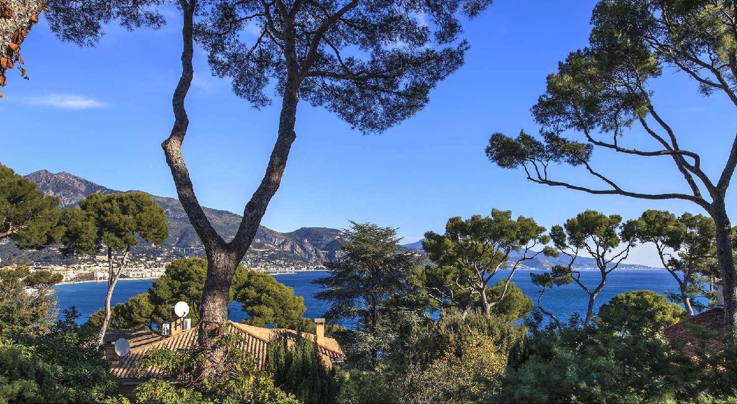  te koop villa Roquebrune-Cap-Martin Alpes-Maritimes 1
