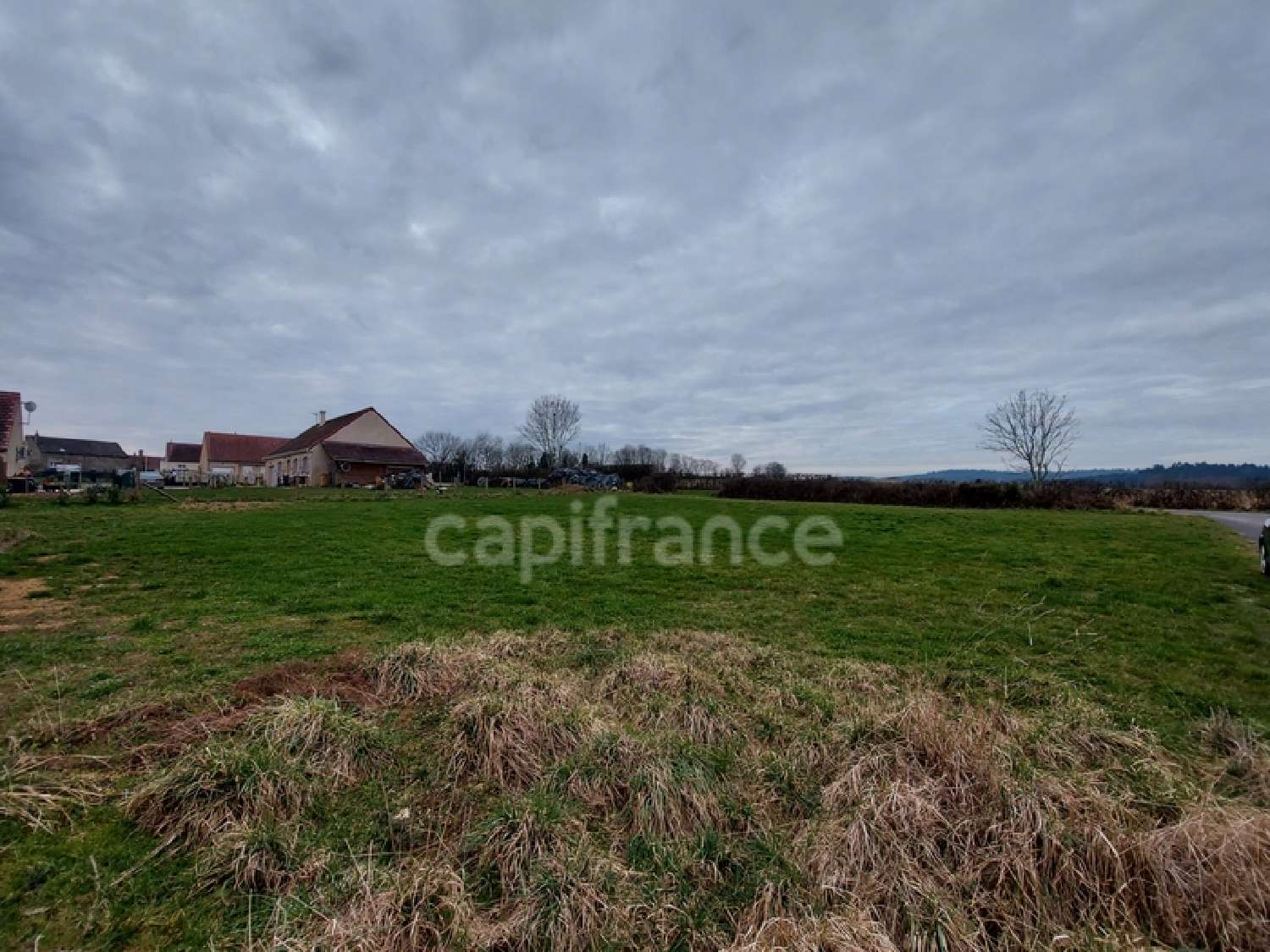  for sale terrain Montlay-en-Auxois Côte-d'Or 2