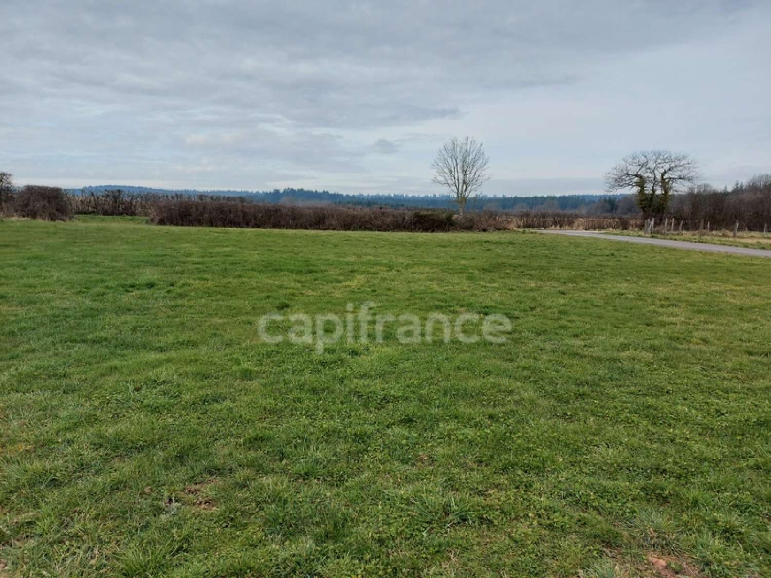 kaufen Grundstück Montlay-en-Auxois Côte-d'Or 4