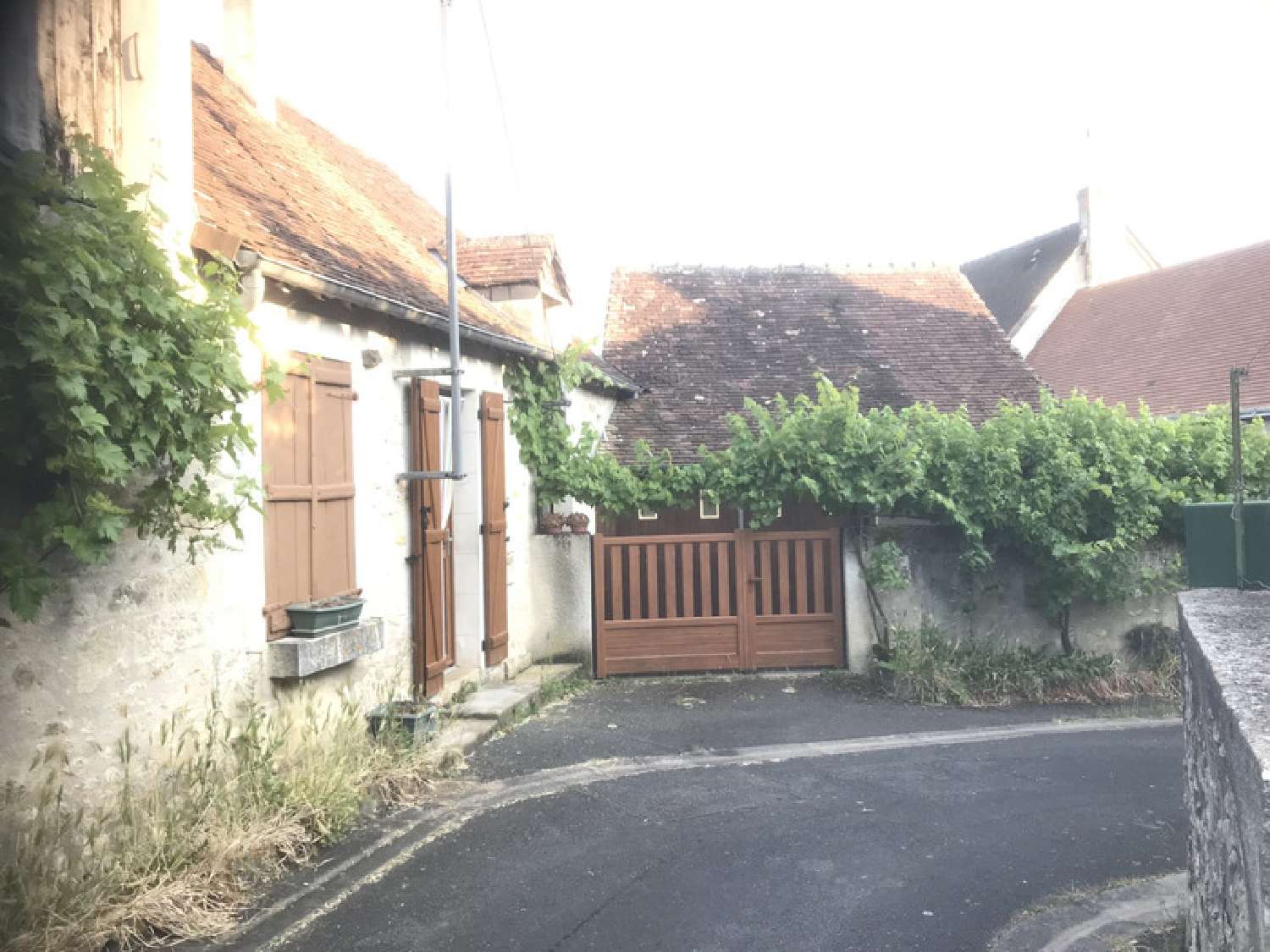  à vendre maison Ferrière-Larçon Indre-et-Loire 2