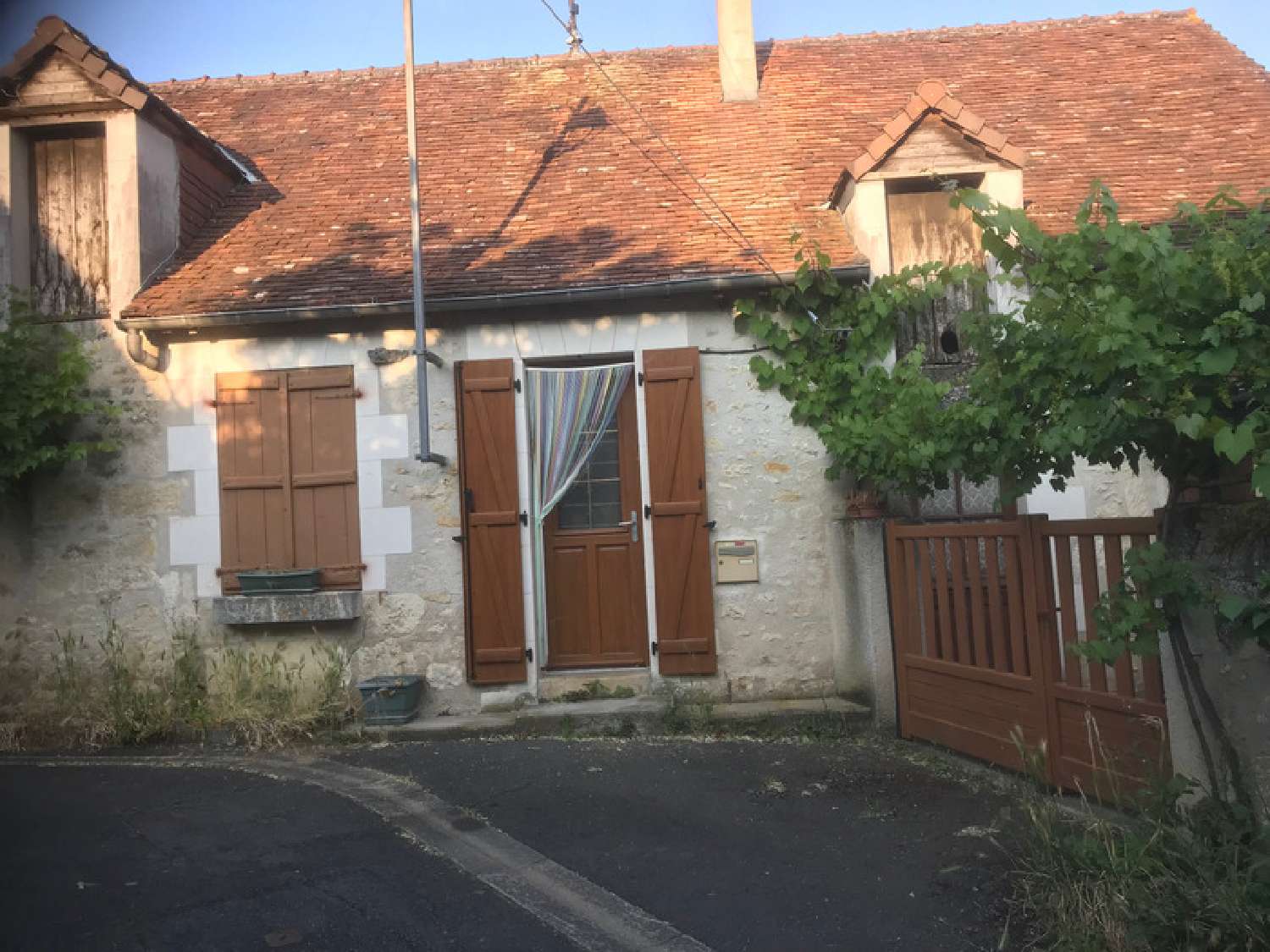  à vendre maison Ferrière-Larçon Indre-et-Loire 1