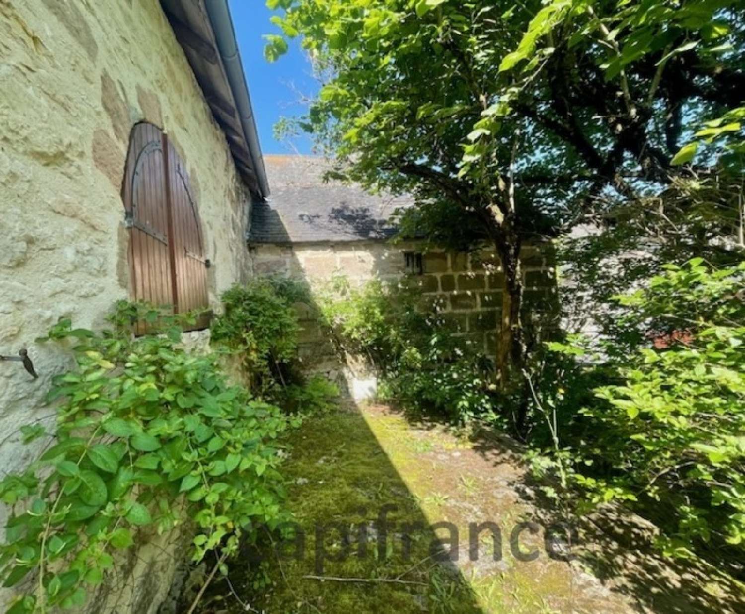  te koop huis Jugeals-Nazareth Corrèze 5