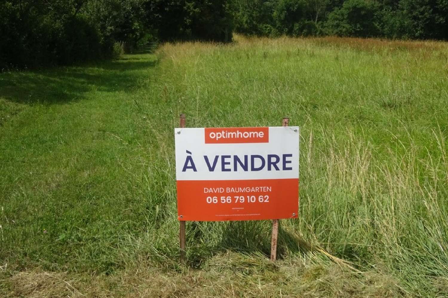  for sale terrain Chenevelles Vienne 4