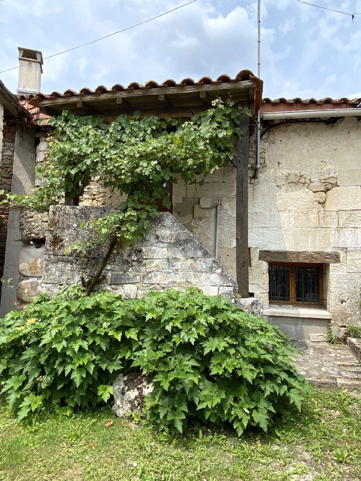  kaufen Haus Paussac-et-Saint-Vivien Dordogne 6