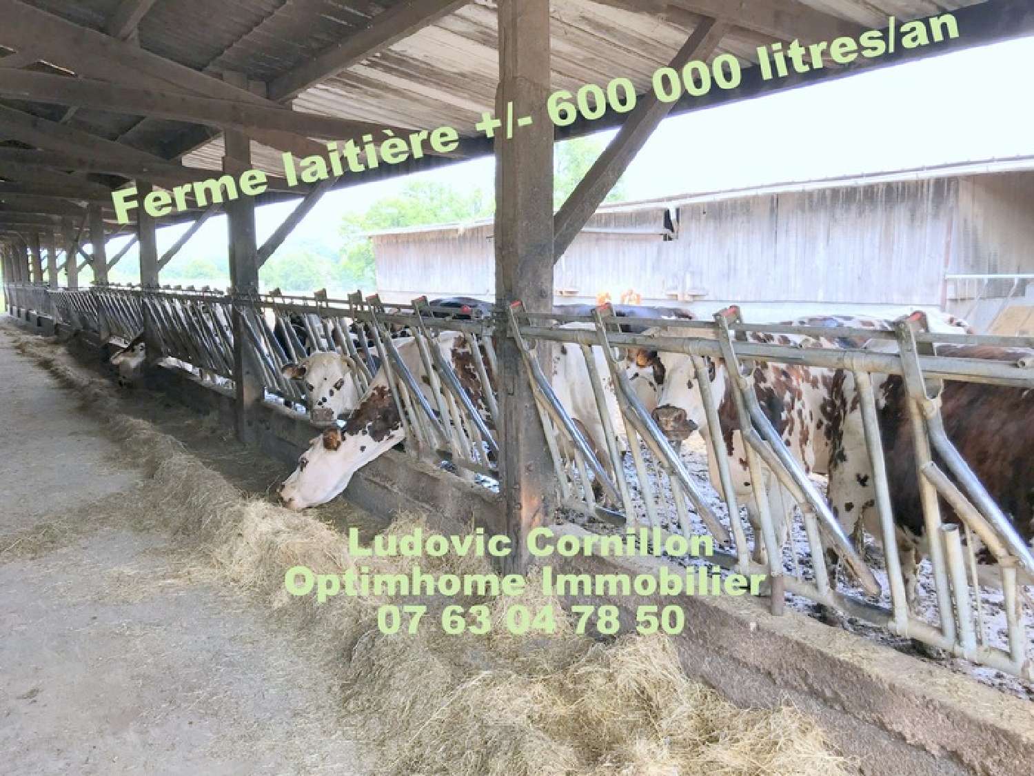  for sale farm Saint-Laurent-sur-Gorre Haute-Vienne 6