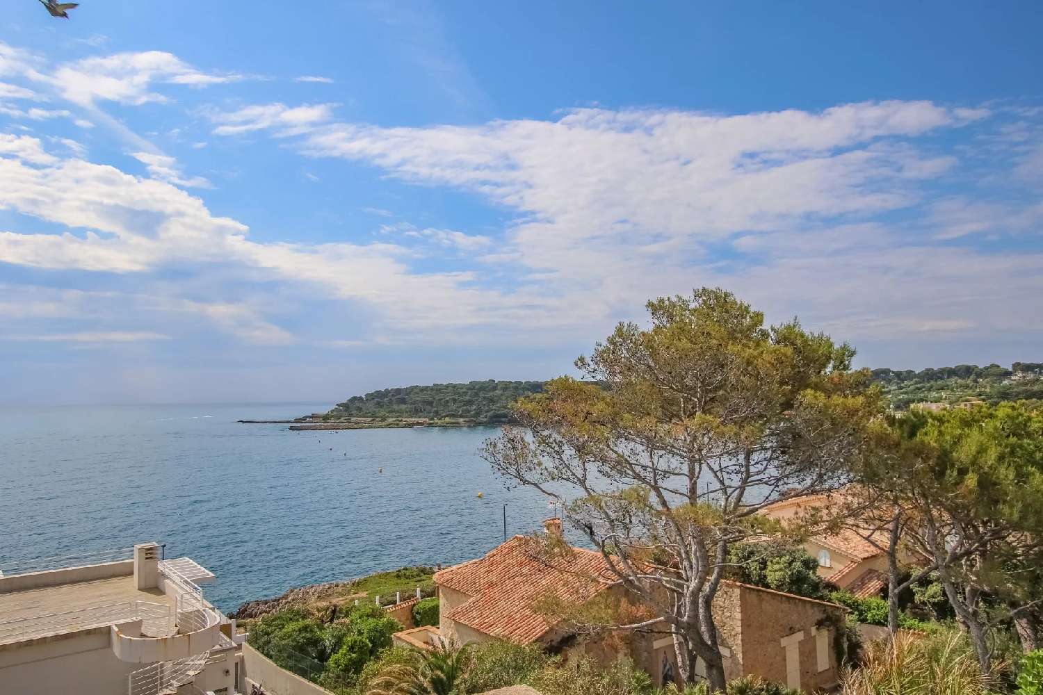  à vendre villa Juan-les-Pins Alpes-Maritimes 3