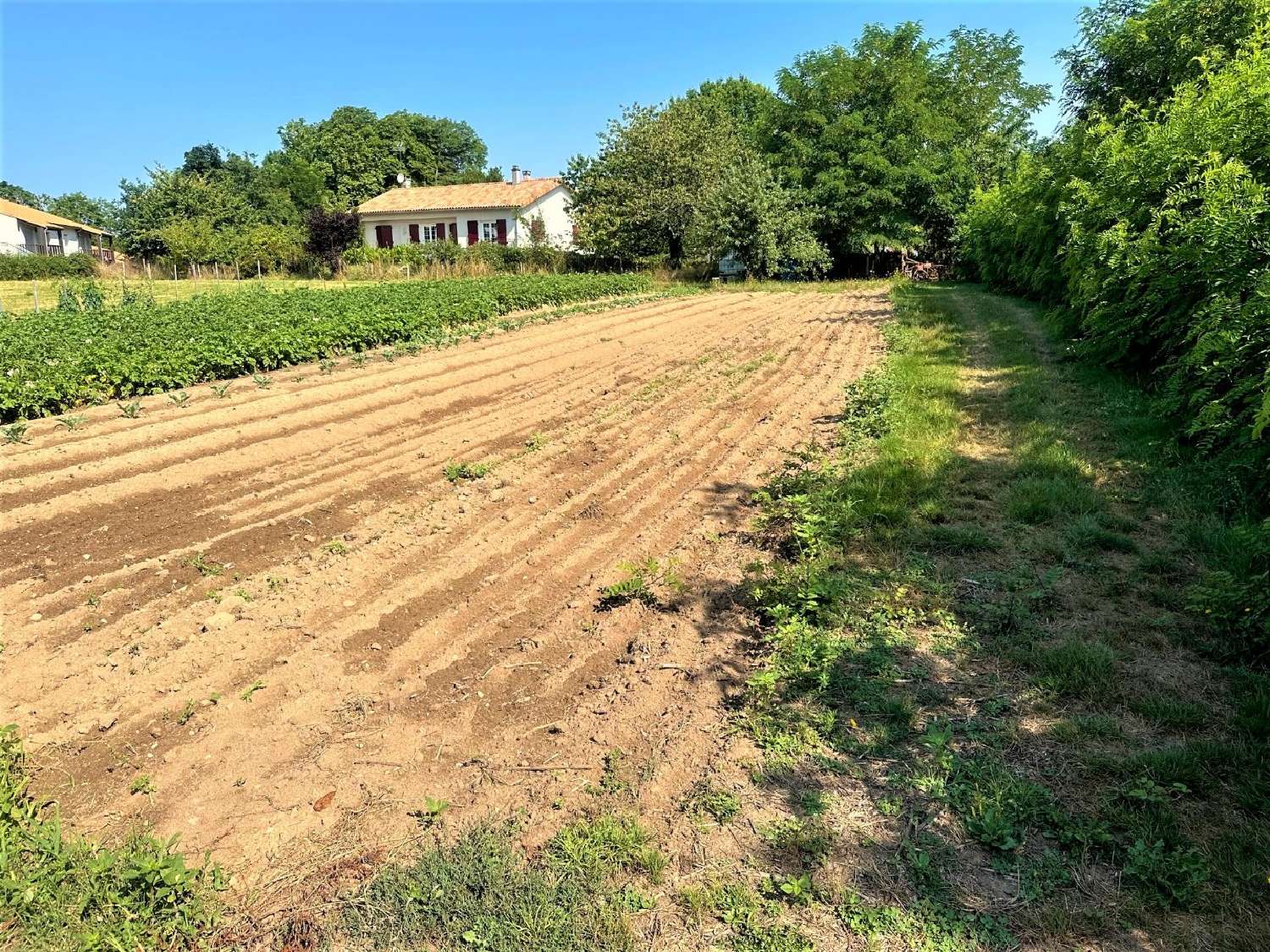  kaufen Grundstück Chabanais Charente 5