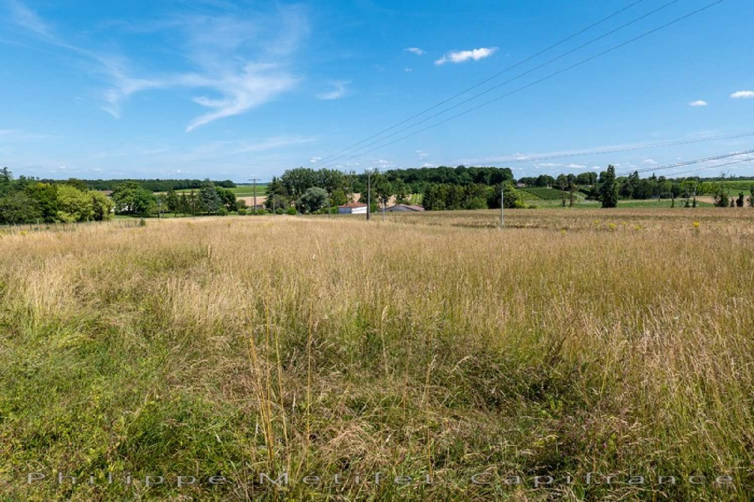  for sale terrain Mortiers Charente-Maritime 4
