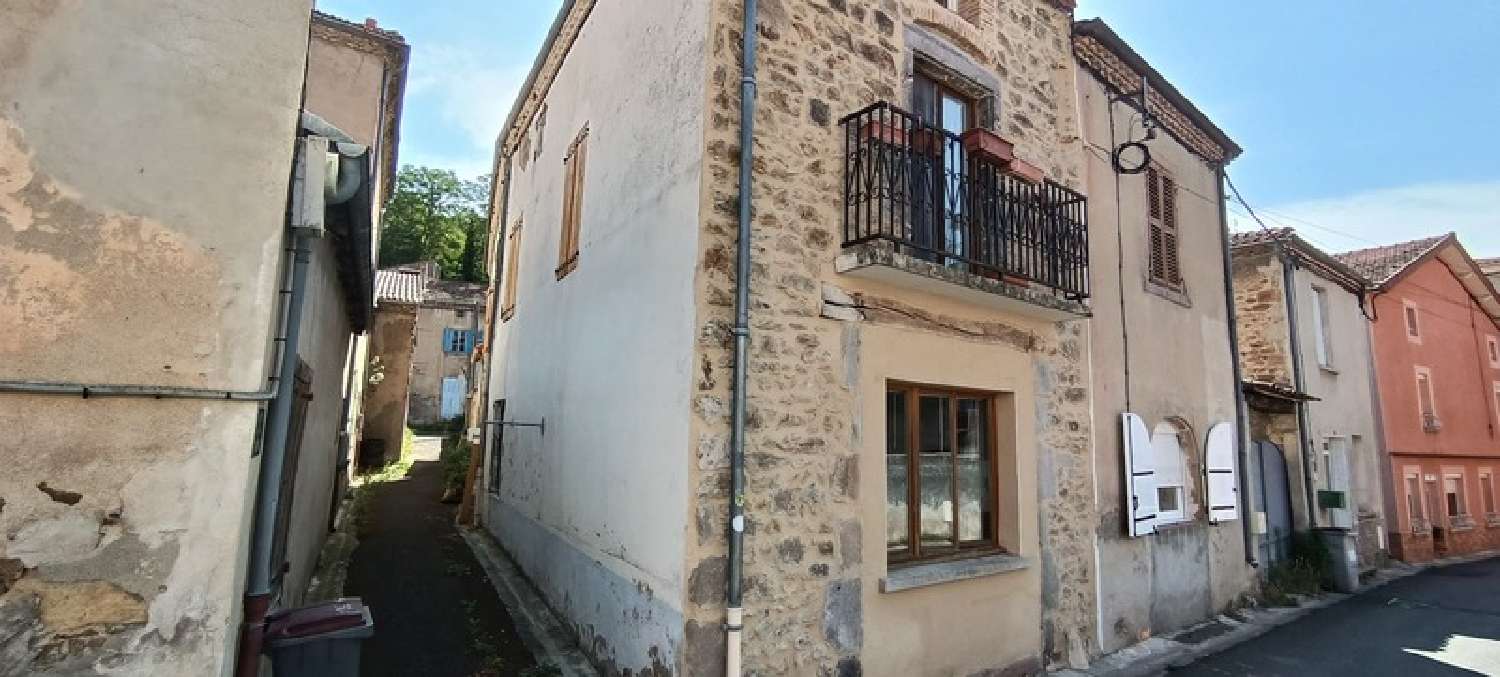 Jumeaux Puy-de-Dôme Haus Bild 6580847