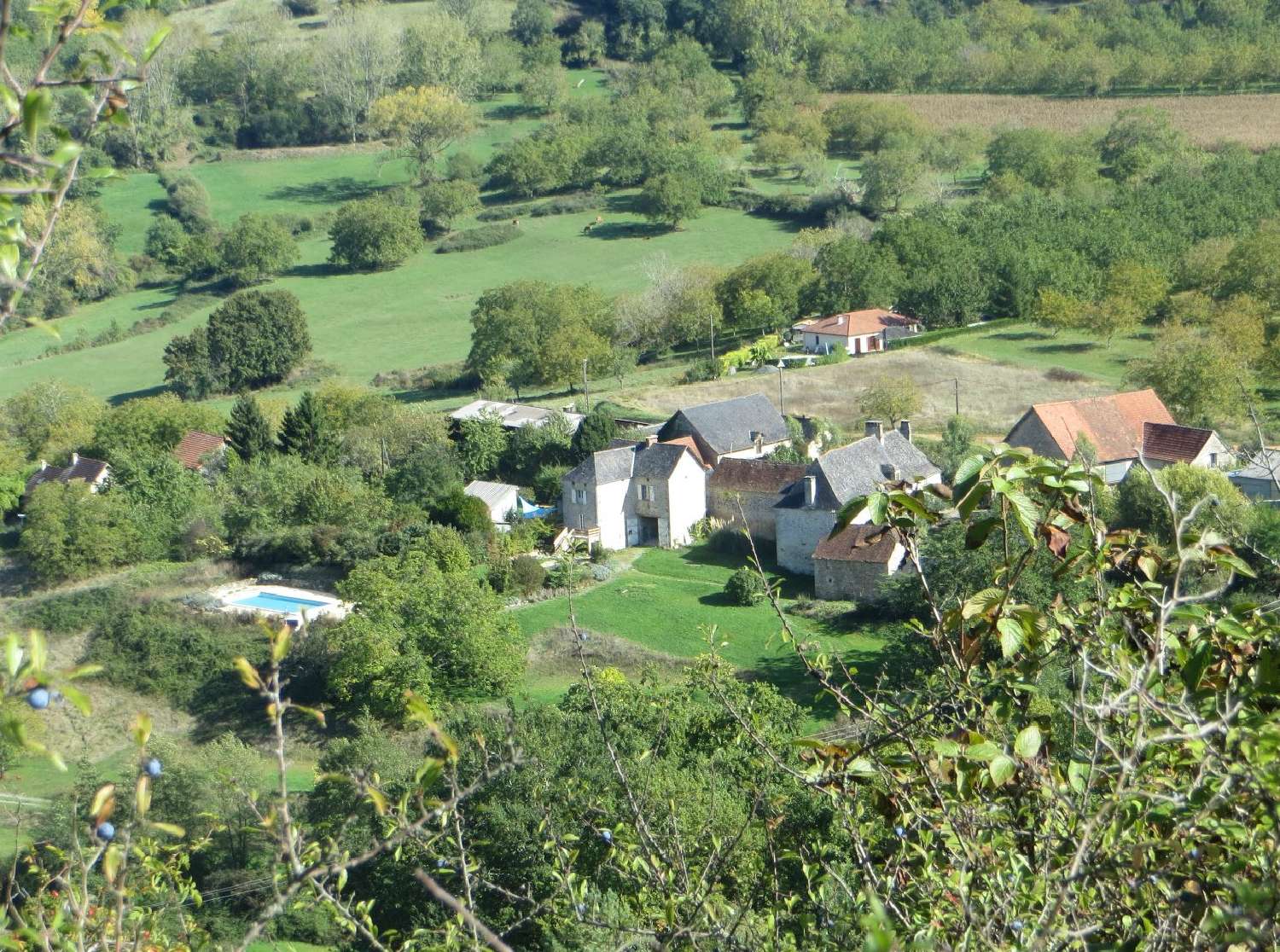  à vendre maison Saint-Robert Corrèze 1