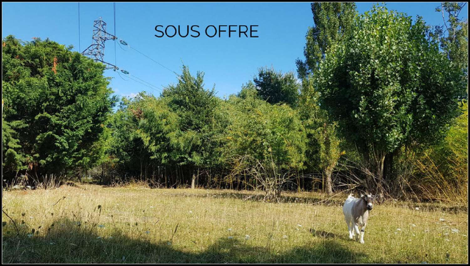  kaufen Grundstück Villeperdue Indre-et-Loire 3
