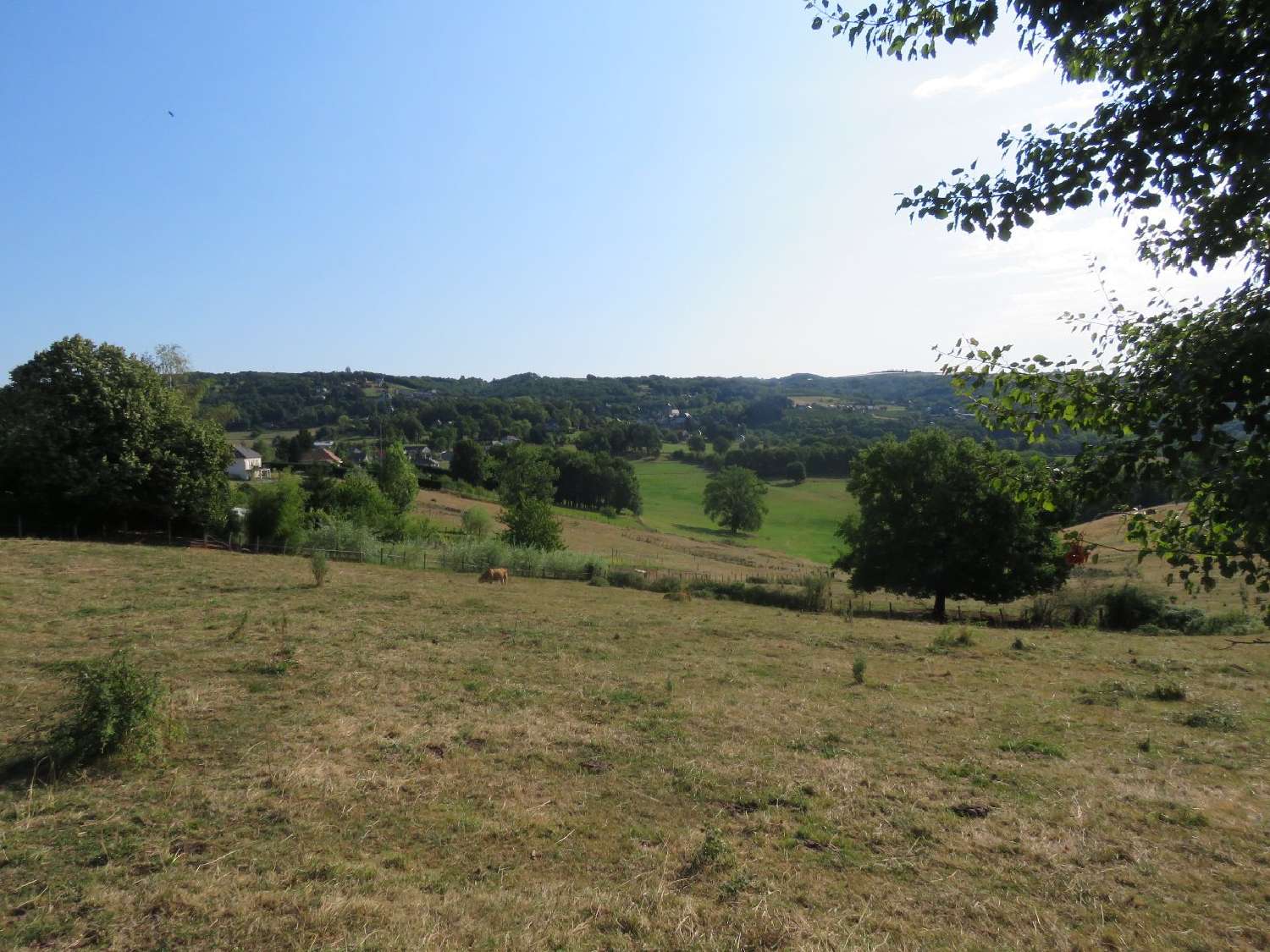 Voutezac Corrèze Grundstück Bild 6558478