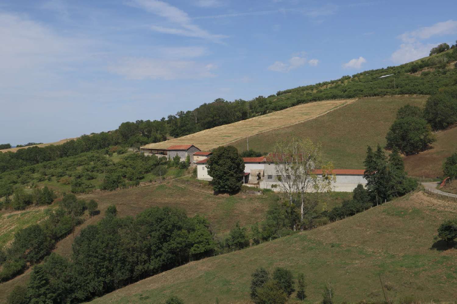  for sale farm L'Arbresle Rhône 2