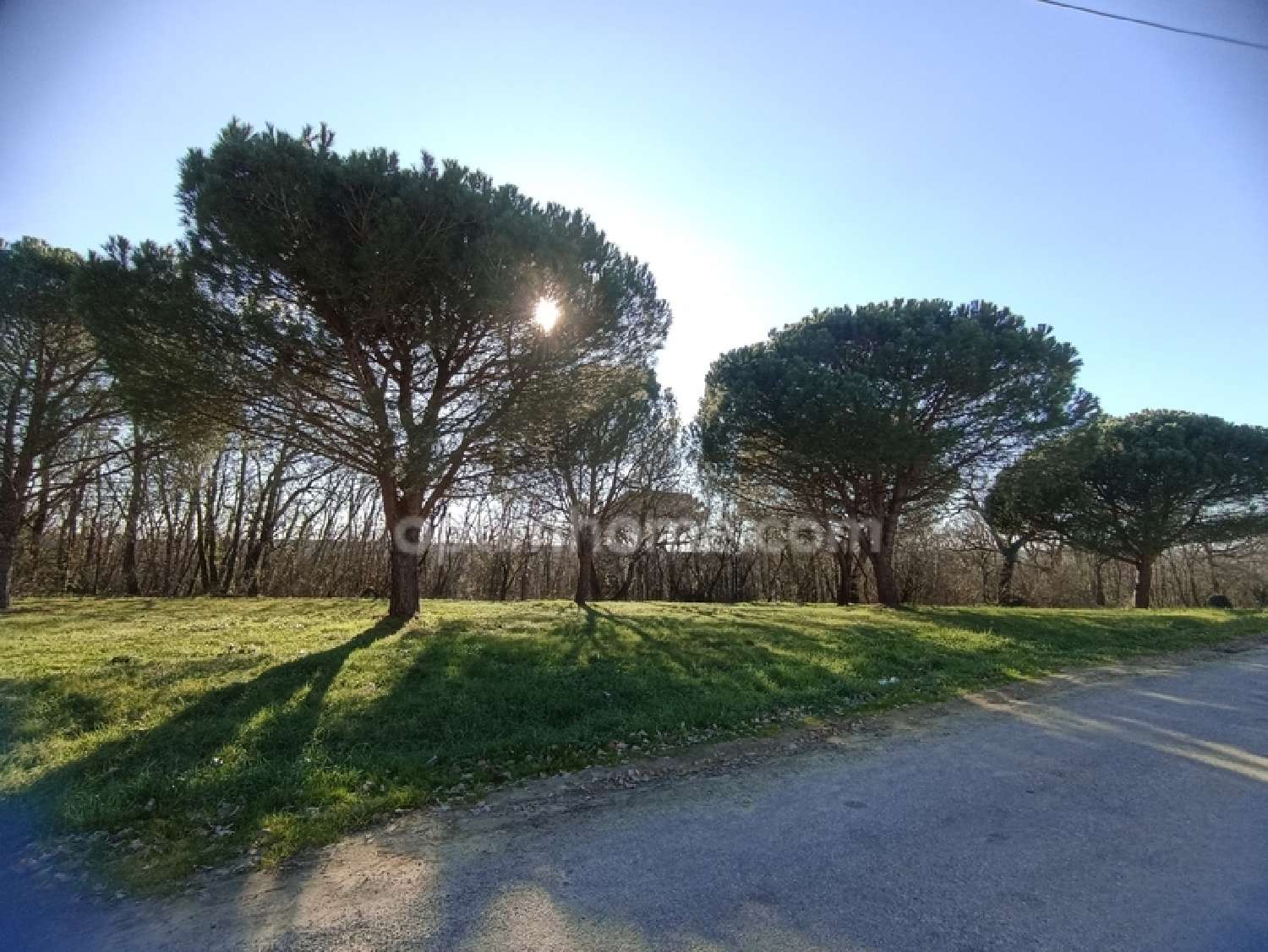  kaufen Grundstück Montaigut-sur-Save Haute-Garonne 8